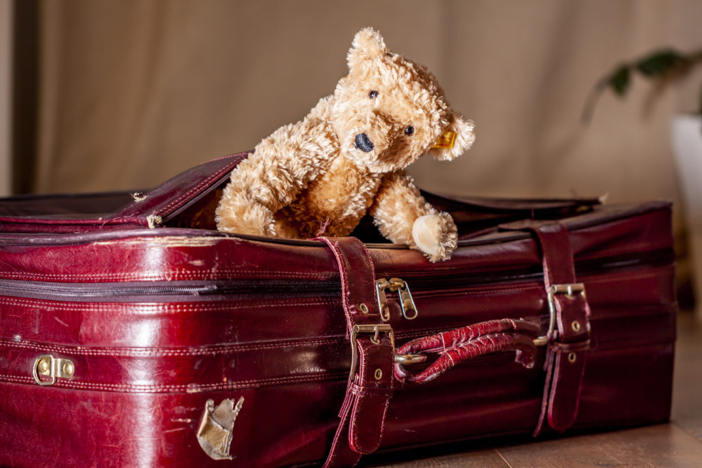 Teddy bear peeking out of suitcase